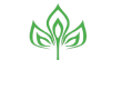 Jade Vista Logo